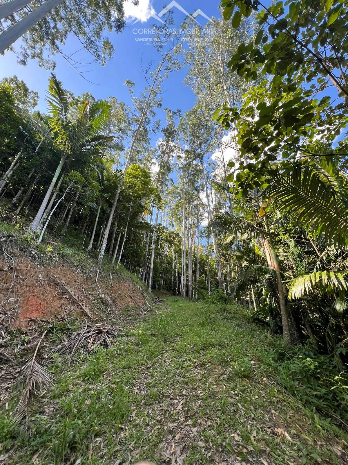 TERRENO - Pomerode Fundos, Pomerode - SC — foto 5