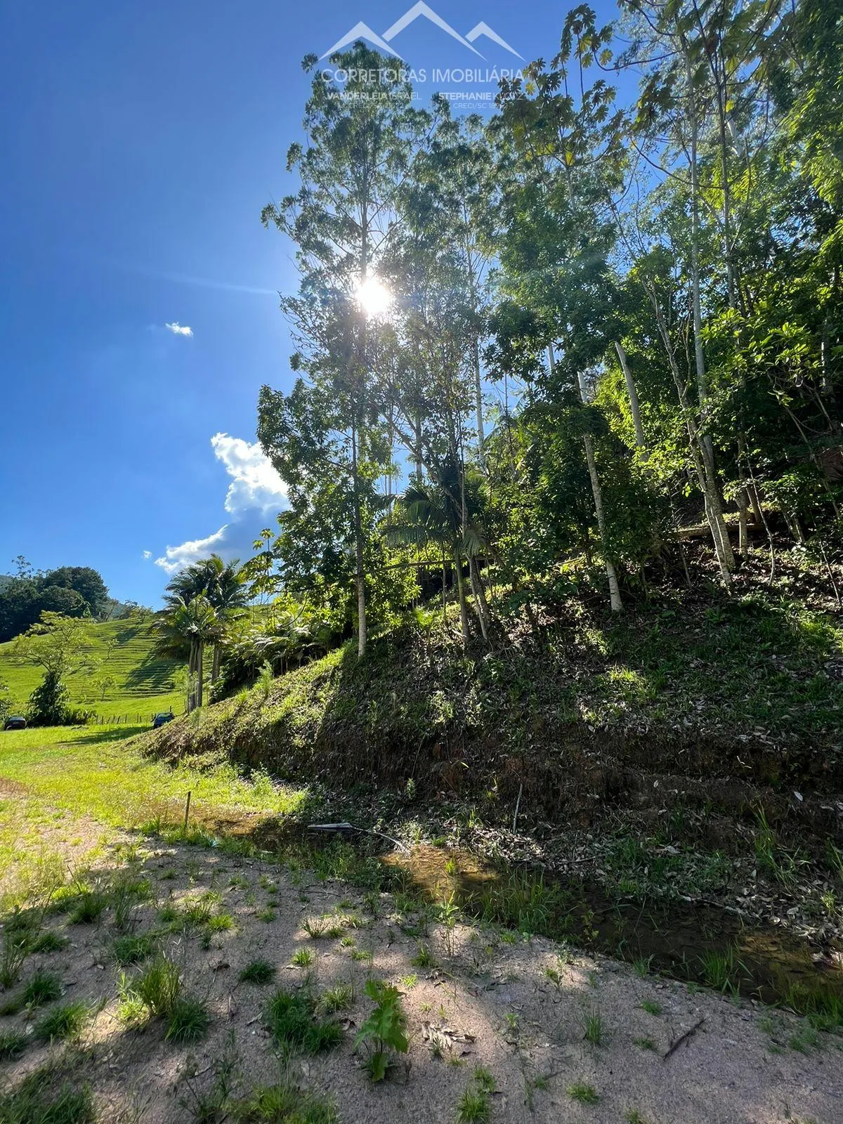 TERRENO - Pomerode Fundos, Pomerode - SC — foto 7