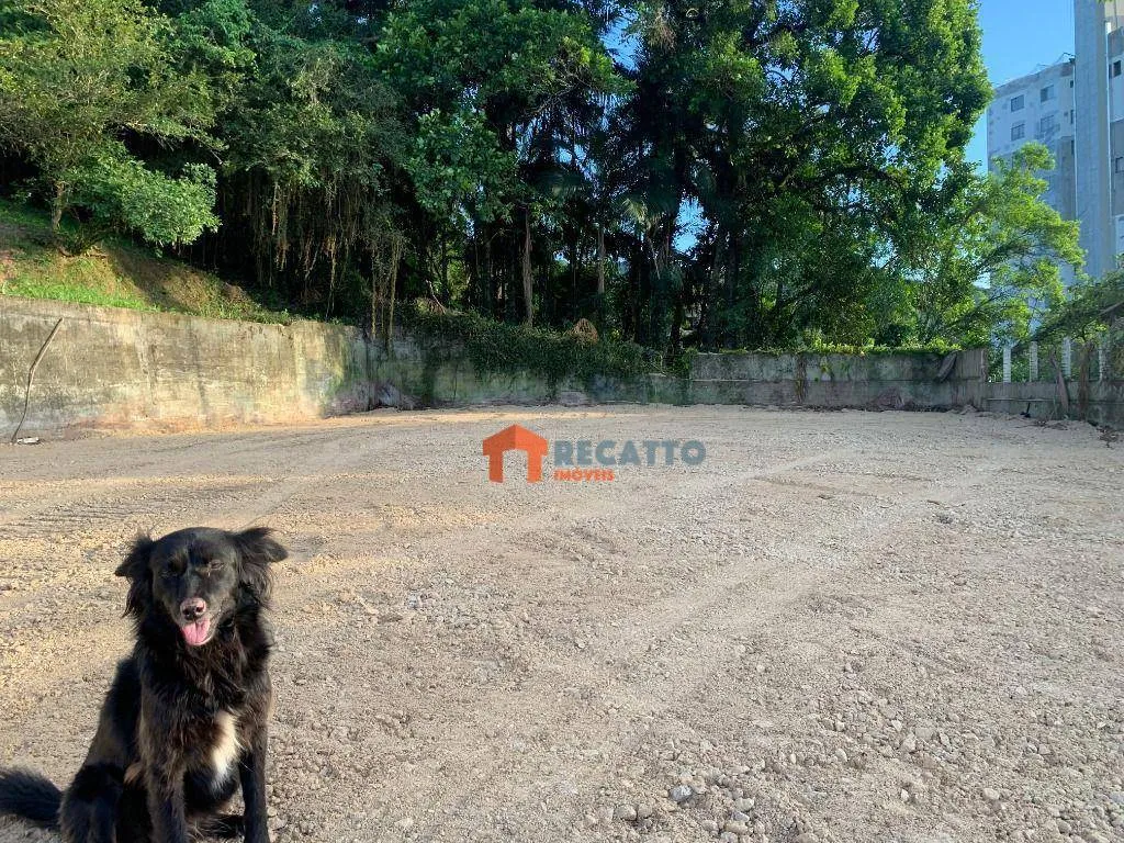 Terreno à Venda - Vorstadt - Blumenau/SC — foto 3