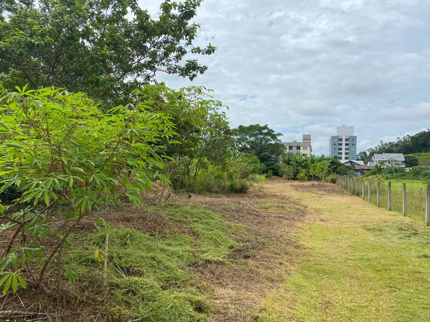 Terreno à venda no bairro Estados em Timbó/SC - foto 1