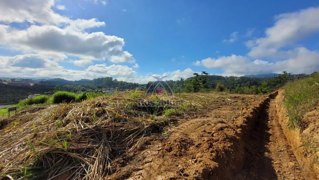 TERRENO DALBERGIA - IBIRAMA — foto 3