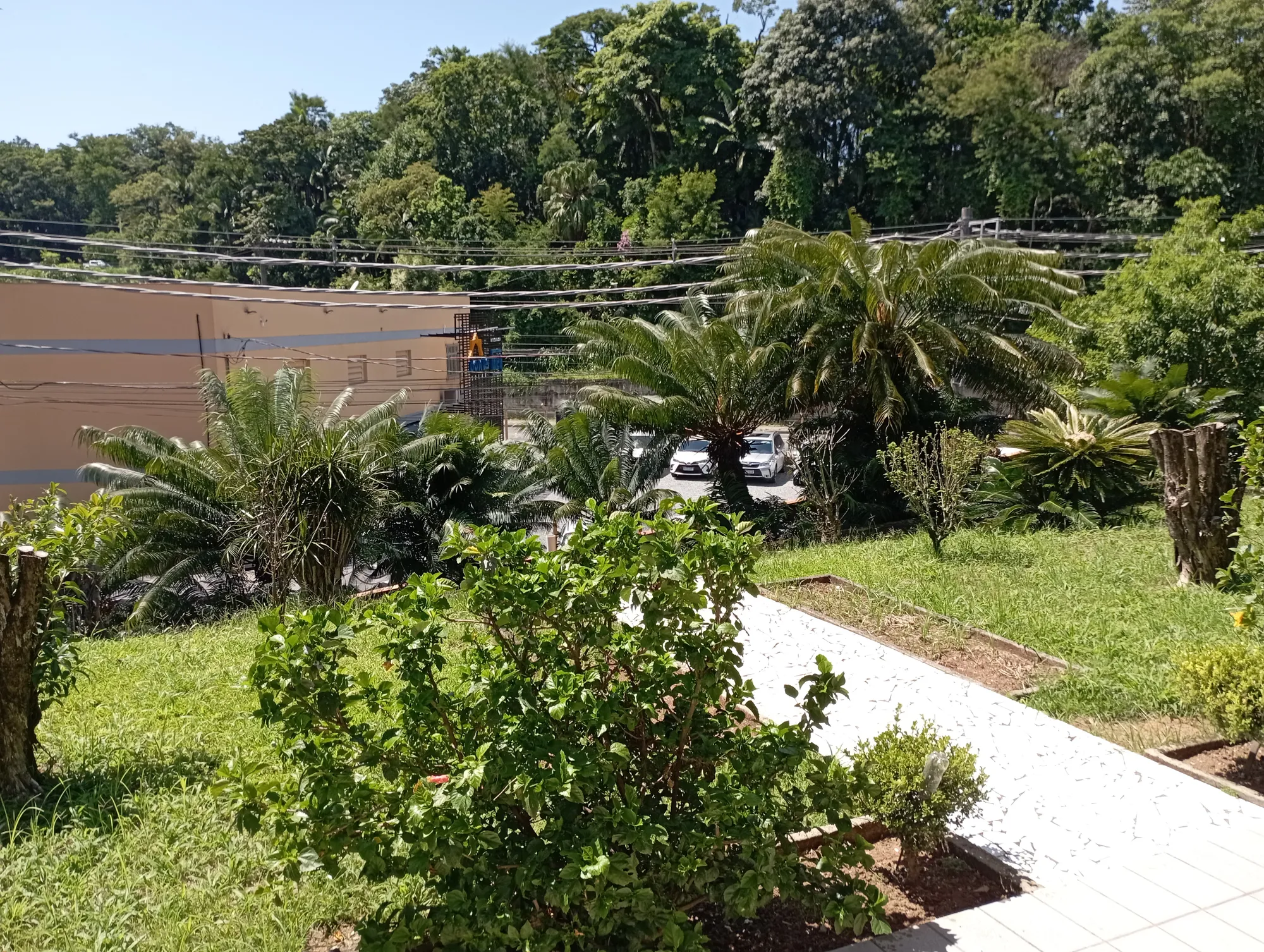 Terreno c/ casa próximo rua Bahia — foto 7