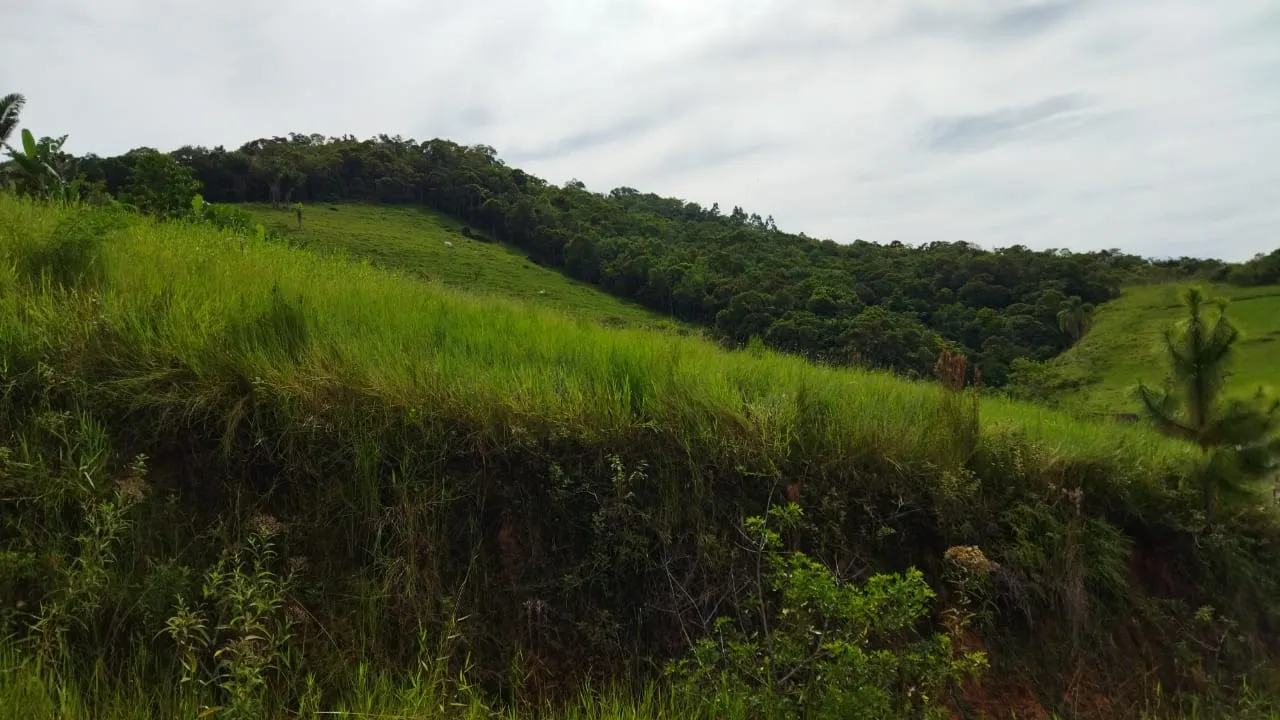 Terreno com vista panorâmica, com 1.350 m² no bairro Escalvadinho em Navegantes. Local com bom acesso fica apenas 500 metros da Rodovia SC414 — foto 4