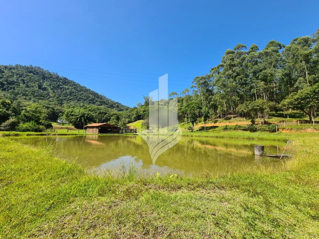 Excelente sítio no Mulde em Timbó — foto 2