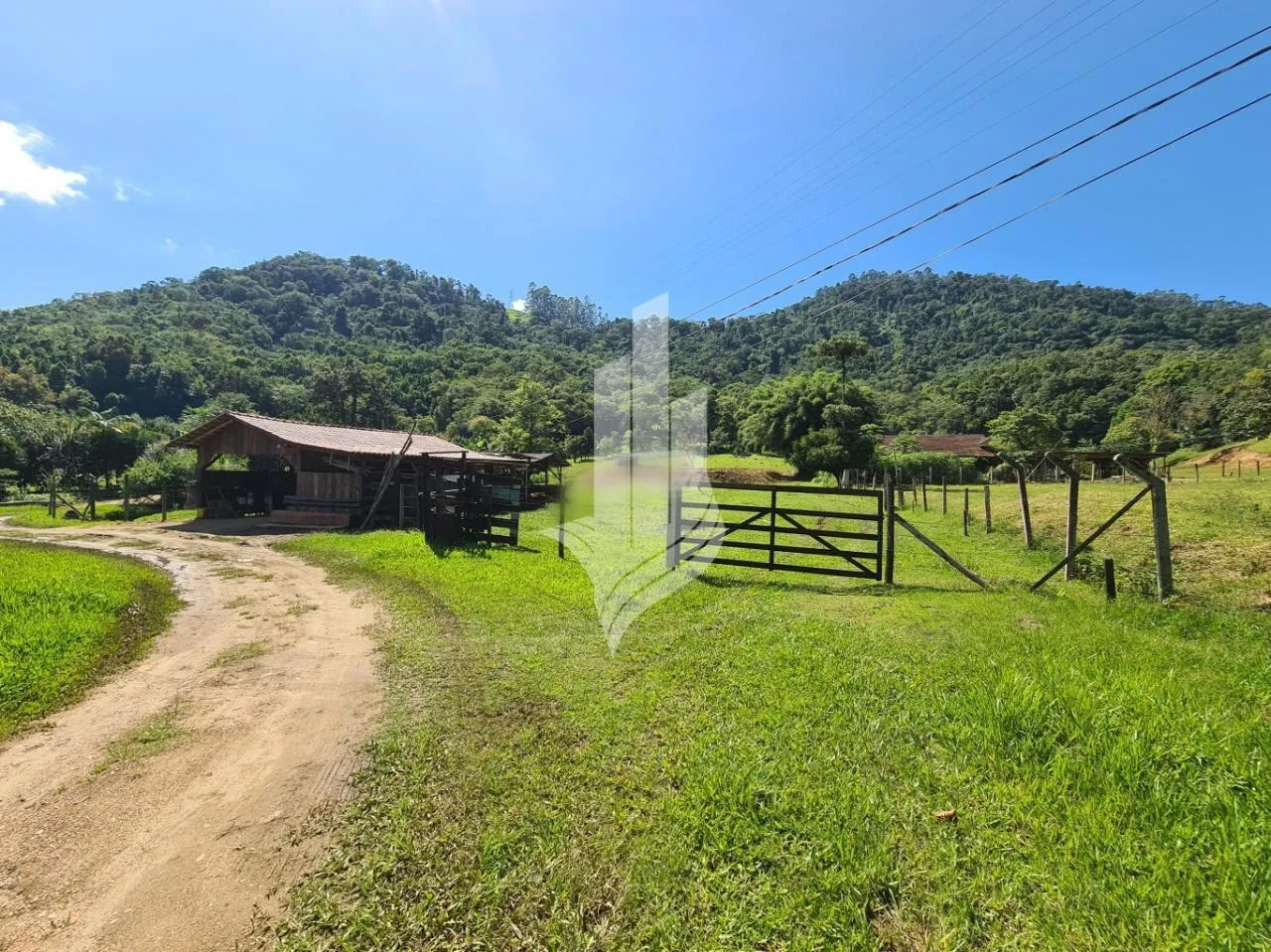 Excelente sítio no Mulde em Timbó — foto 3