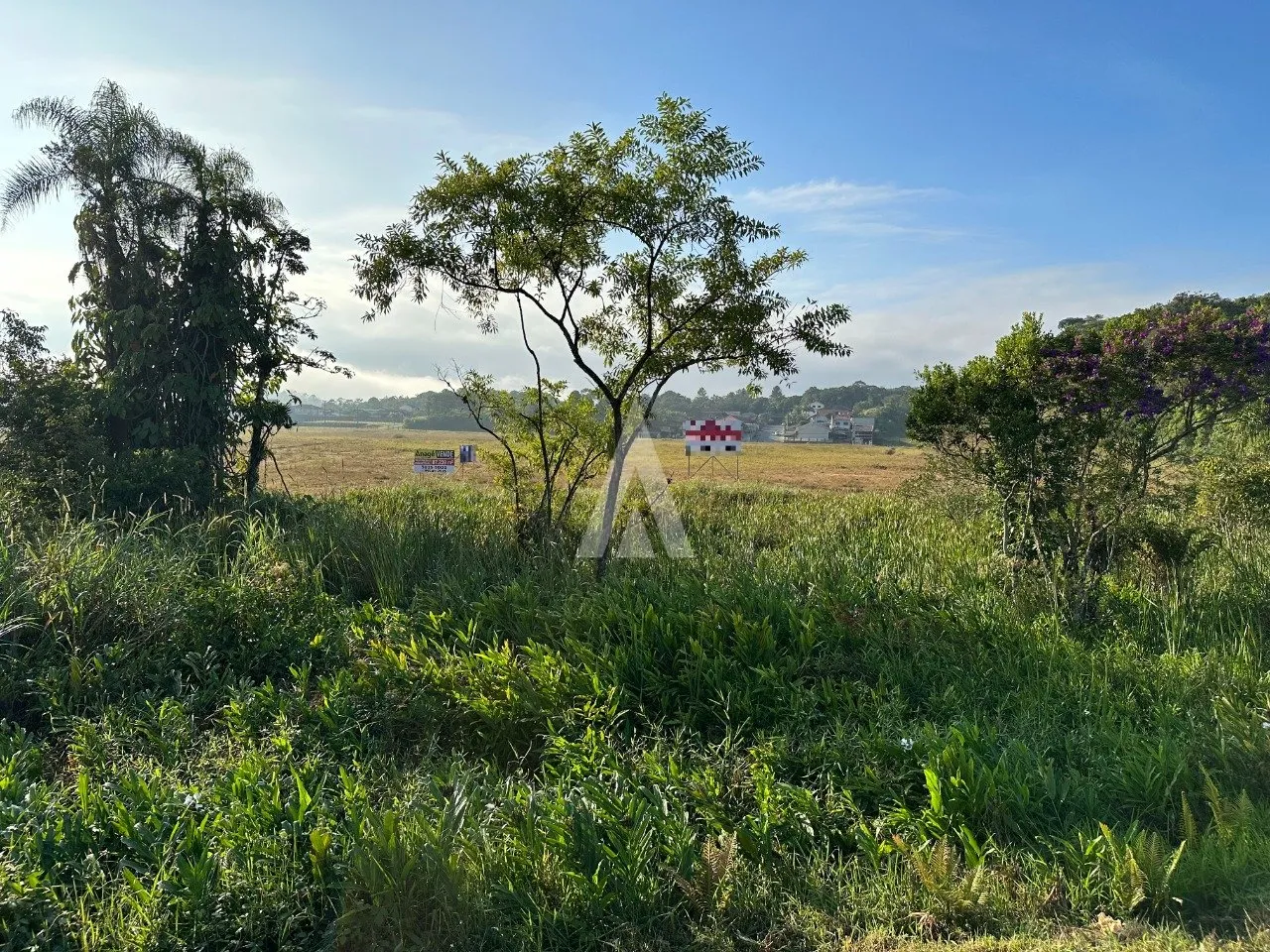 Terreno Industrial à venda no bairro Pirabeiraba em Joinville, por R$ 23.500.000.00. - foto 1