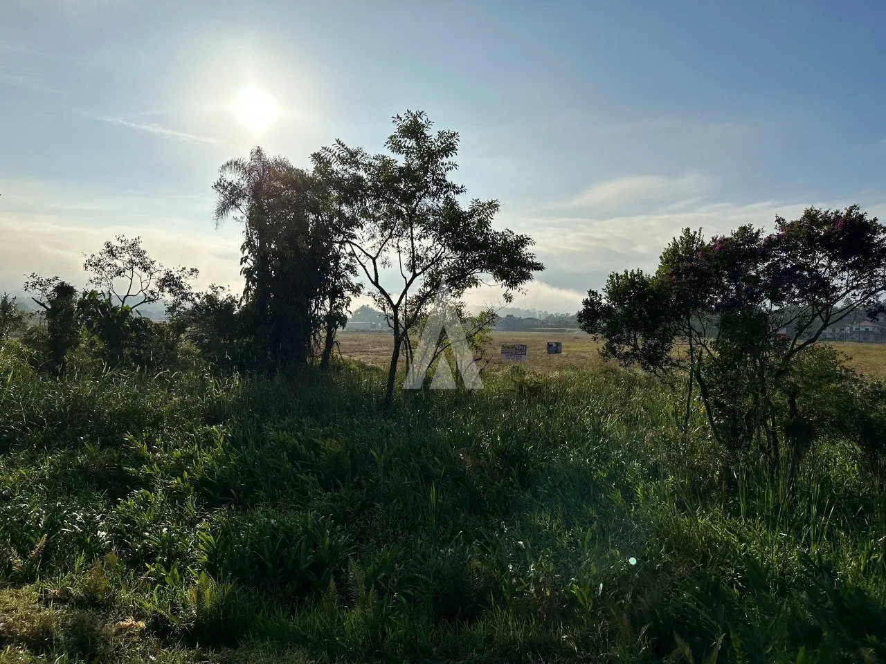 Terreno Industrial à venda no bairro Pirabeiraba em Joinville, por R$ 23.500.000.00. — foto 5