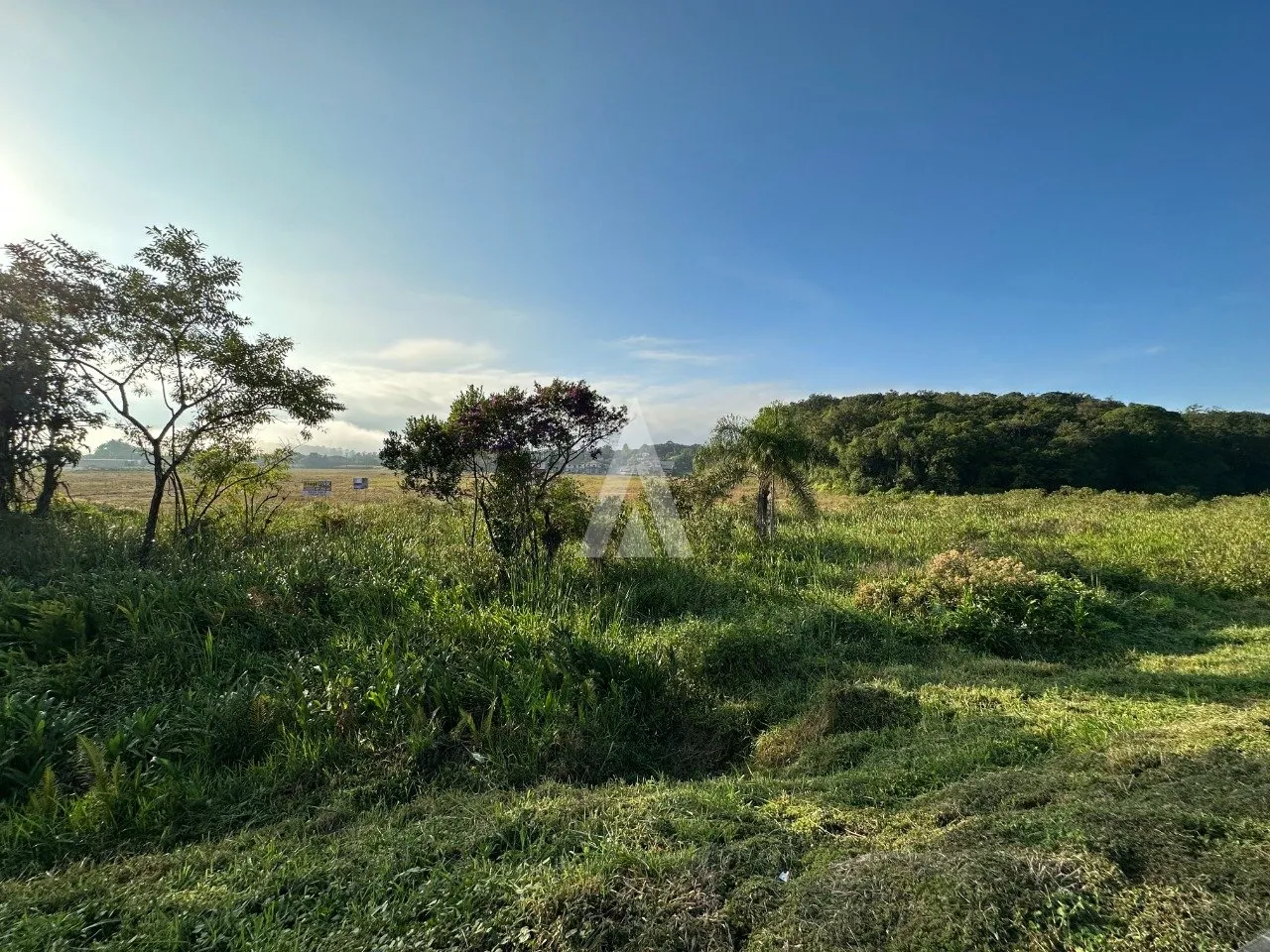 Terreno Industrial à venda no bairro Pirabeiraba em Joinville, por R$ 23.500.000.00. — foto 7