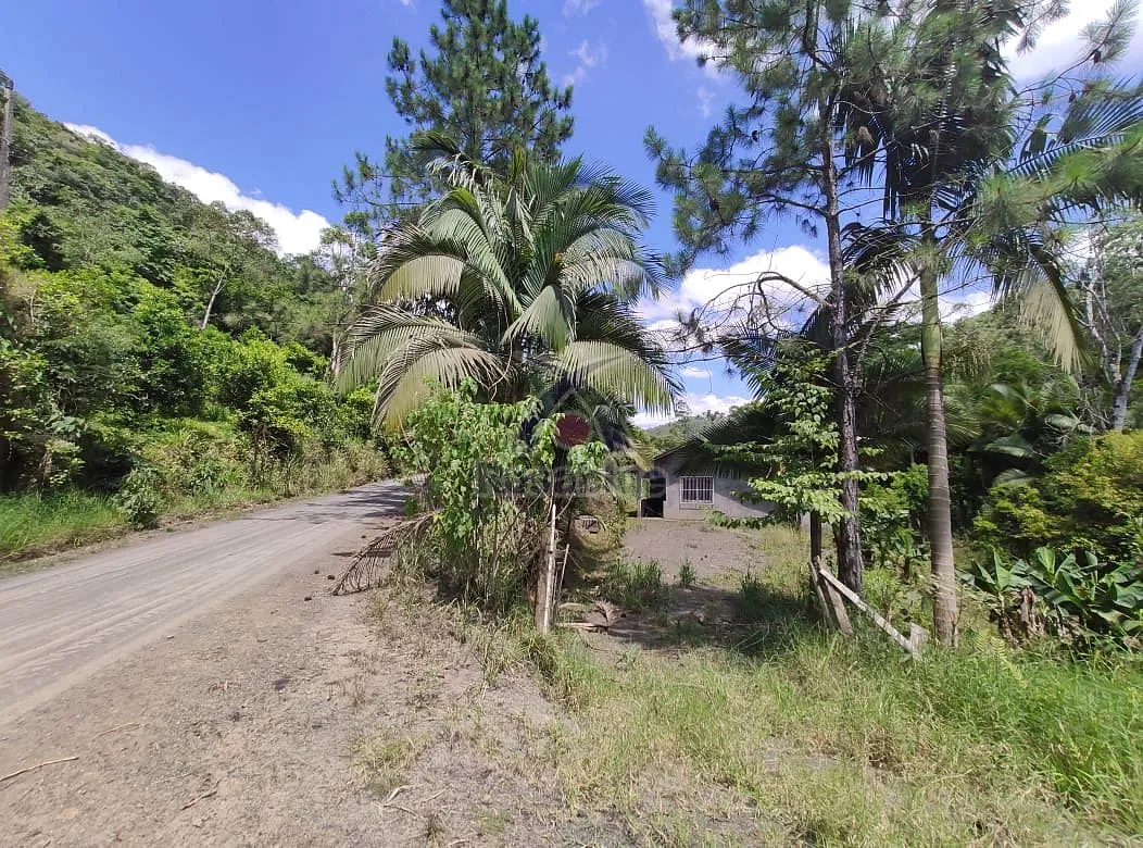 SITIO-VITOR MEIRELES — foto 2