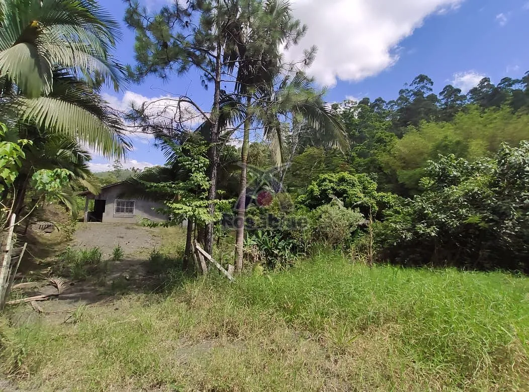 SITIO-VITOR MEIRELES — foto 3