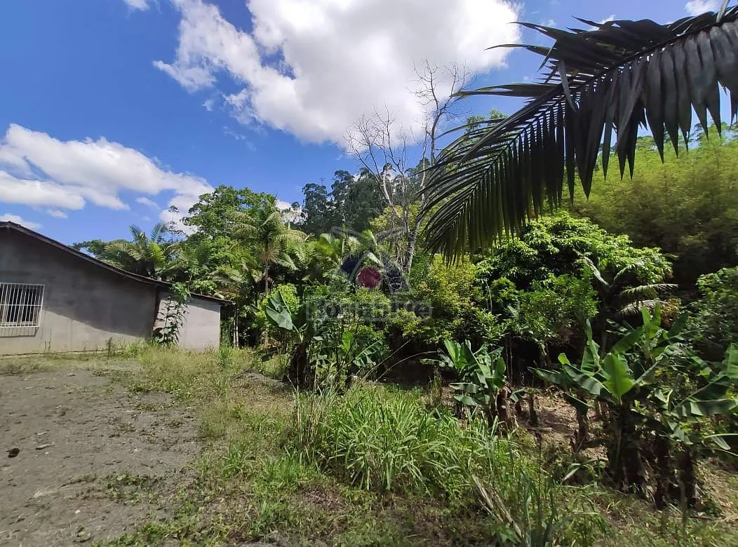 SITIO-VITOR MEIRELES — foto 4