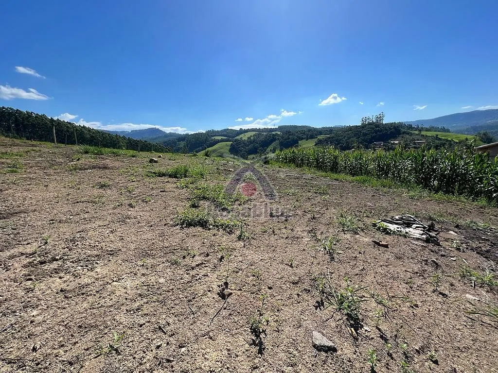 TERRENO-PRESIDENTE GETULIO — foto 3