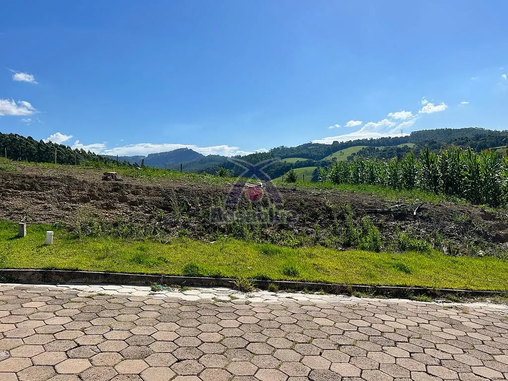 TERRENO-PRESIDENTE GETULIO — foto 7