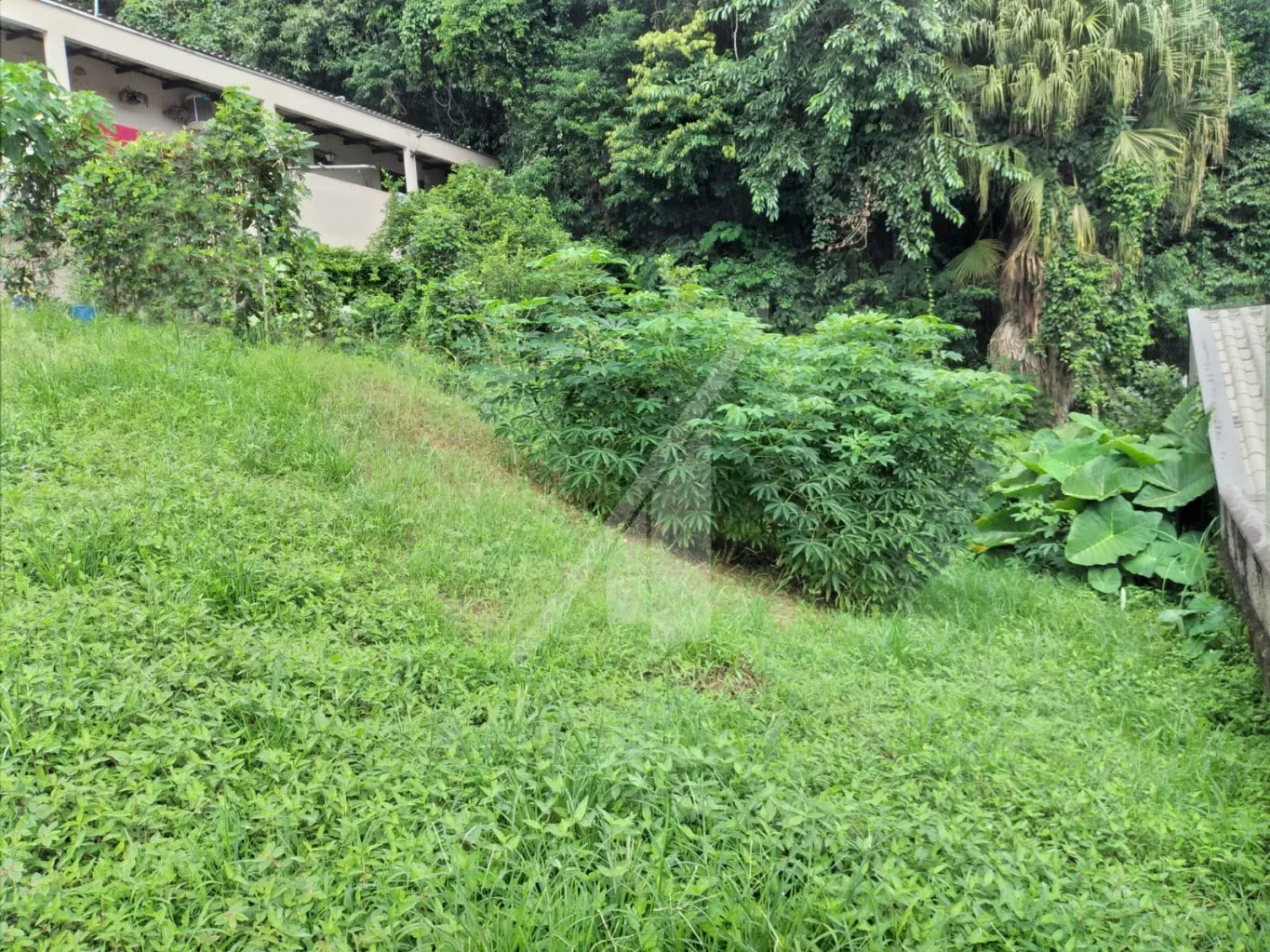 - ABELARDO IMÓVEIS - Excelente terreno com 285 m pronto para construir, em ótima localização no Bairro da Velha - Blumenau/SC. — foto 3