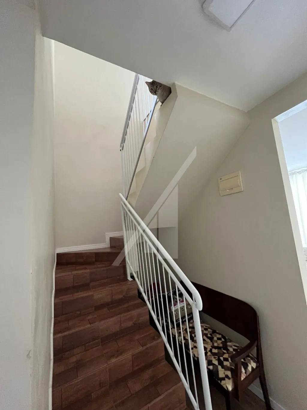 SÍTIO NO BAIRRO BELCHIOR CENTRAL EM GASPAR — foto 7