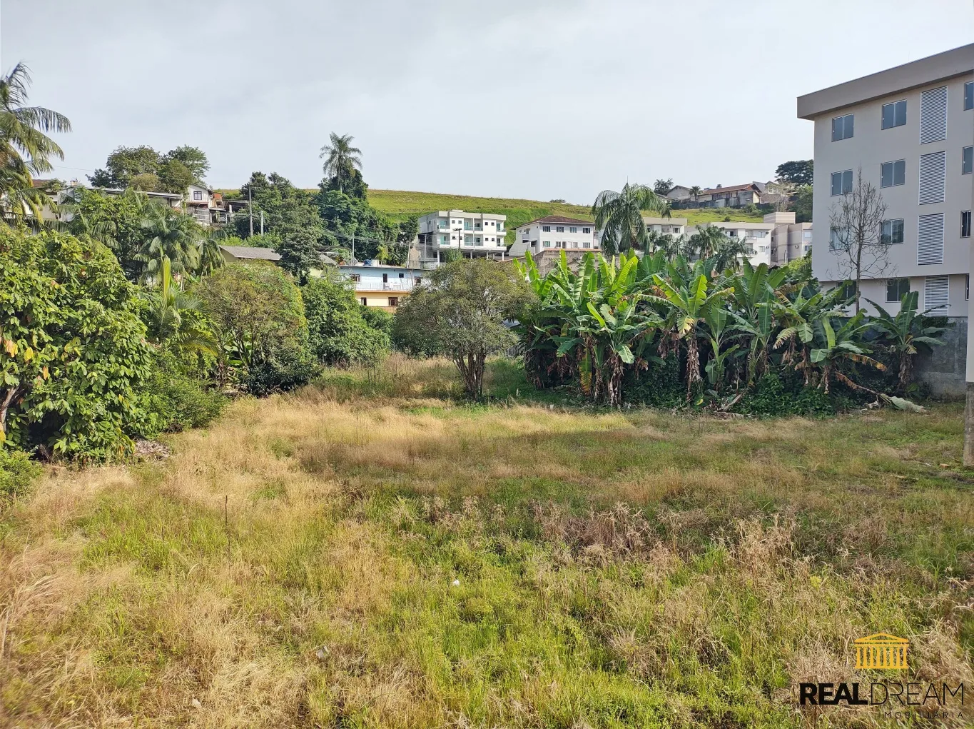 Terreno Comercial e Residencial — foto 2