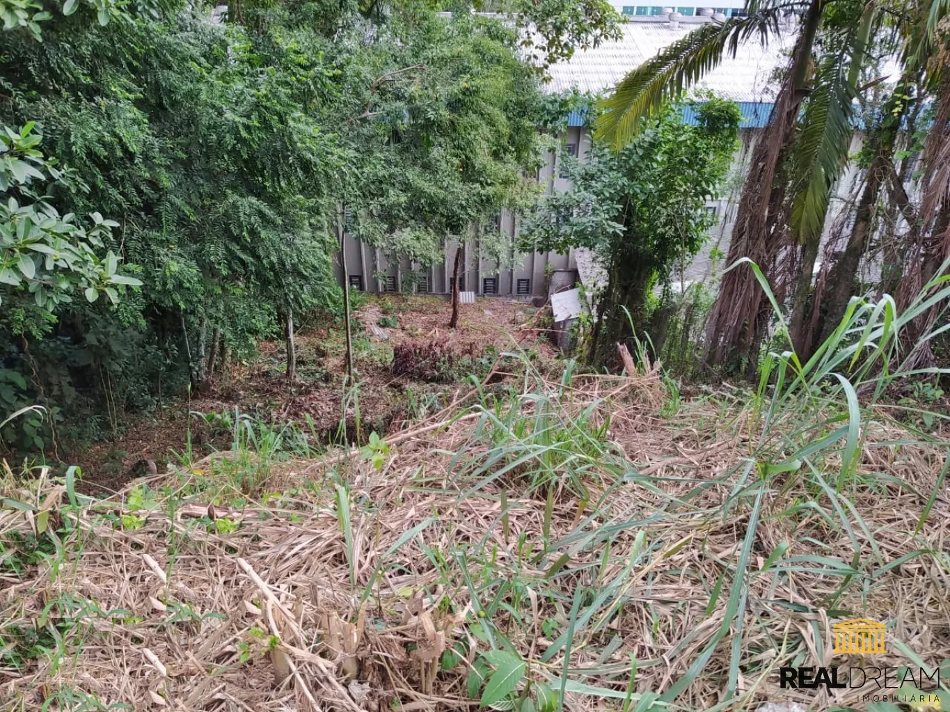 Terreno (ZPA) com 534,80m na Ponta Aguda - foto 1