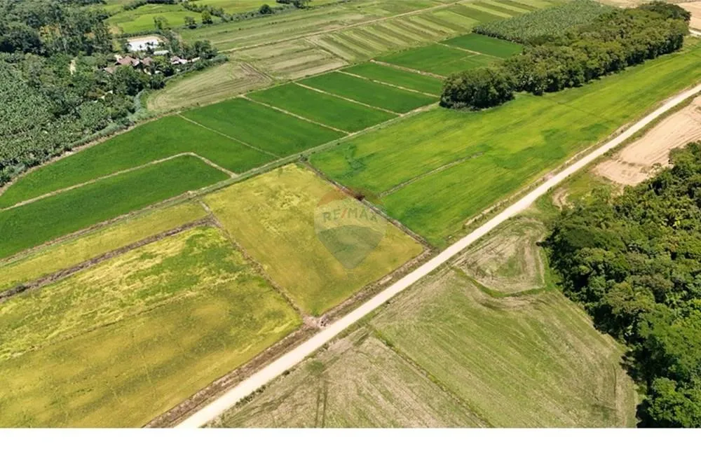 Liberdade de viver no campo e estar próximo da cidade - foto 1