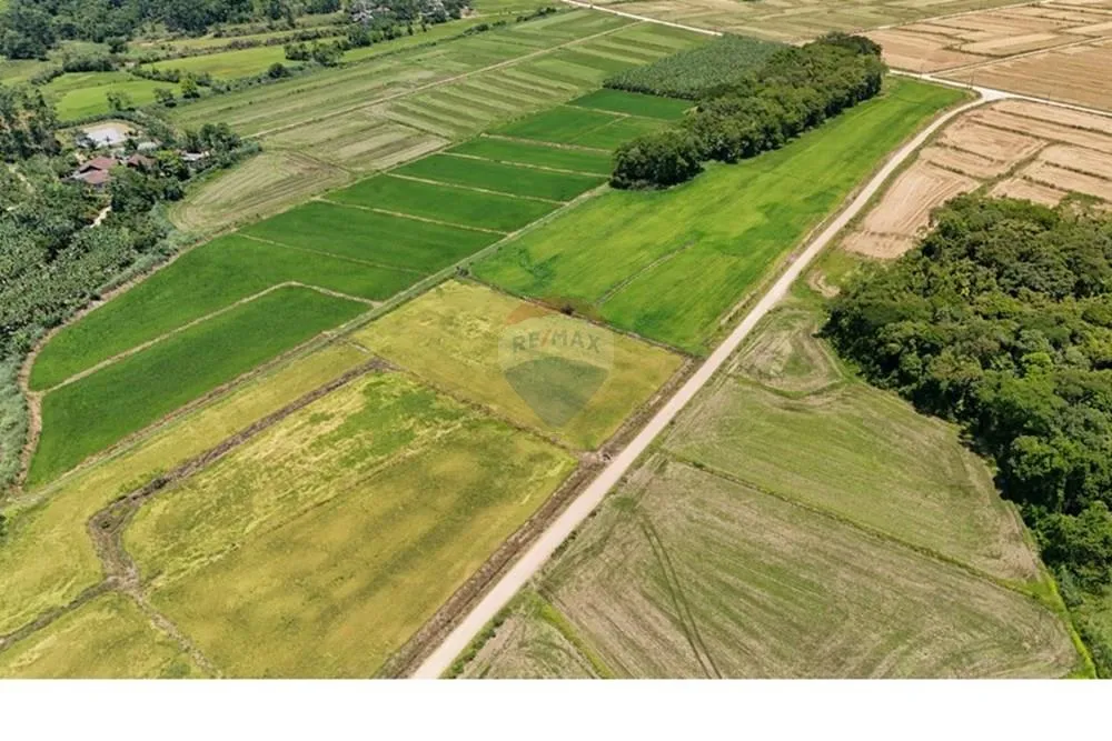 Liberdade de viver no campo e estar próximo da cidade — foto 2