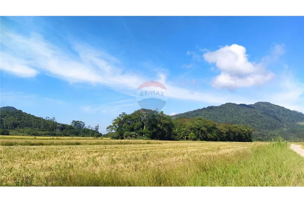 Liberdade de viver no campo e estar próximo da cidade — foto 5
