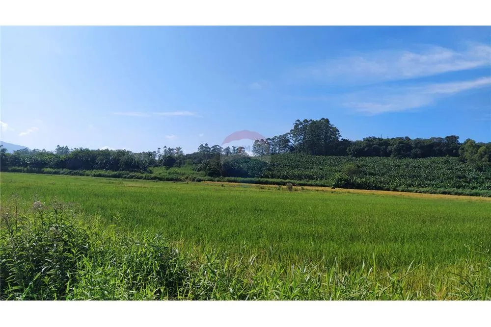 Liberdade de viver no campo e estar próximo da cidade — foto 6