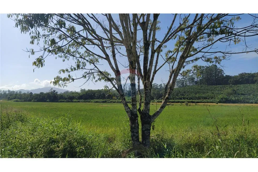 Liberdade de viver no campo e estar próximo da cidade — foto 7