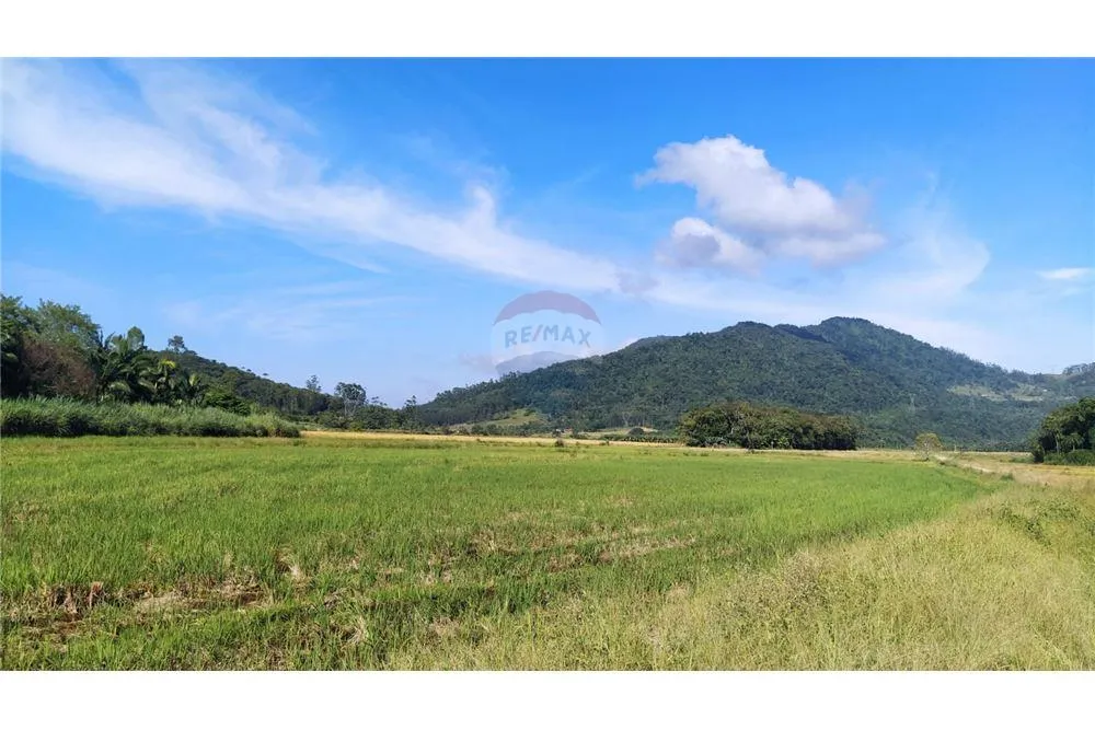 Liberdade de viver no campo e estar próximo da cidade!! - foto 1