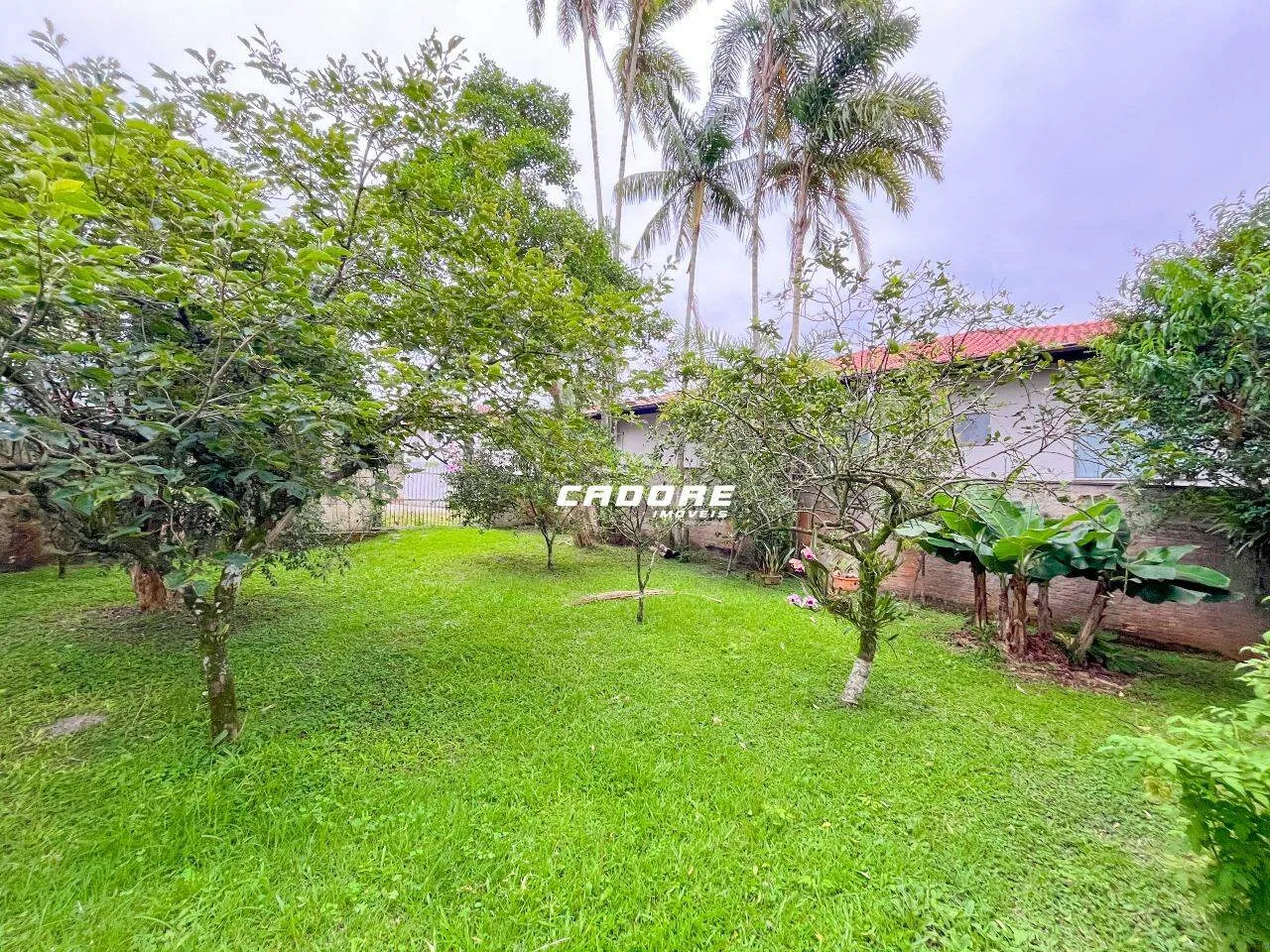 Terreno com 383m na Escola Agrícola - foto 1