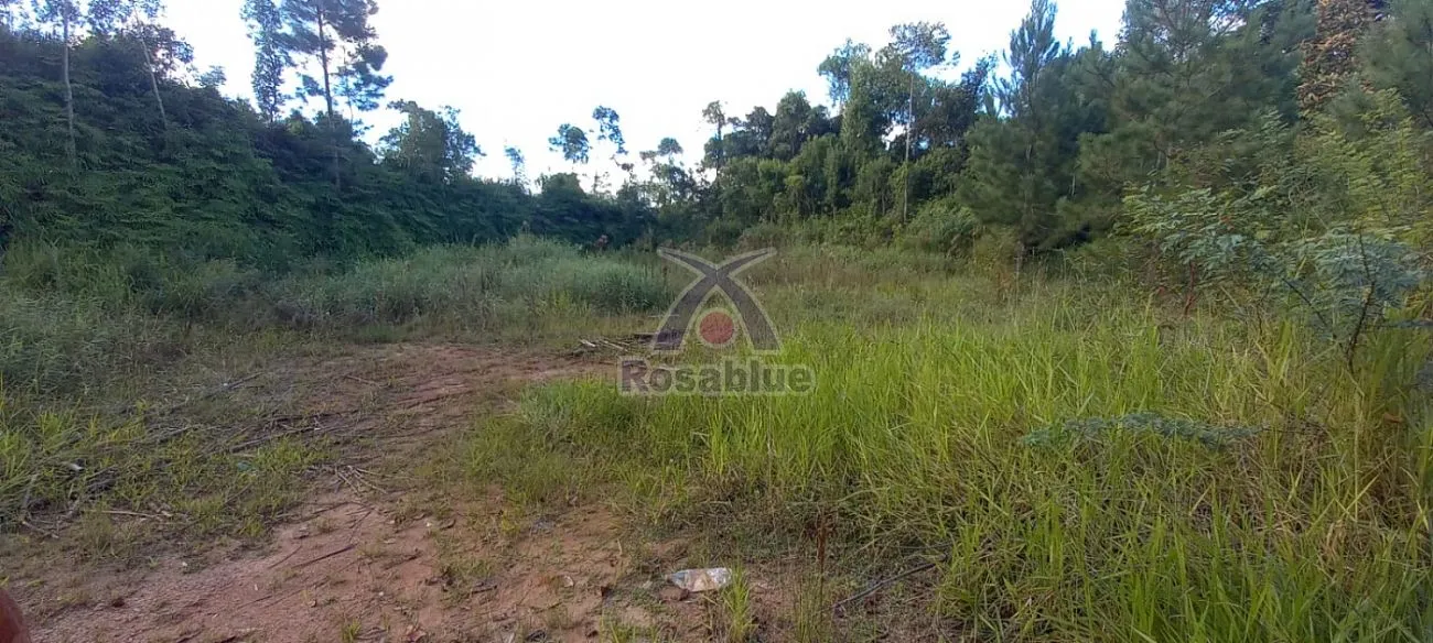 TERRENO - RODEIO - foto 1