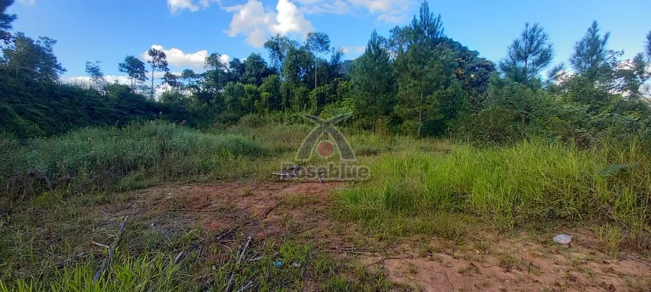 TERRENO - RODEIO — foto 2