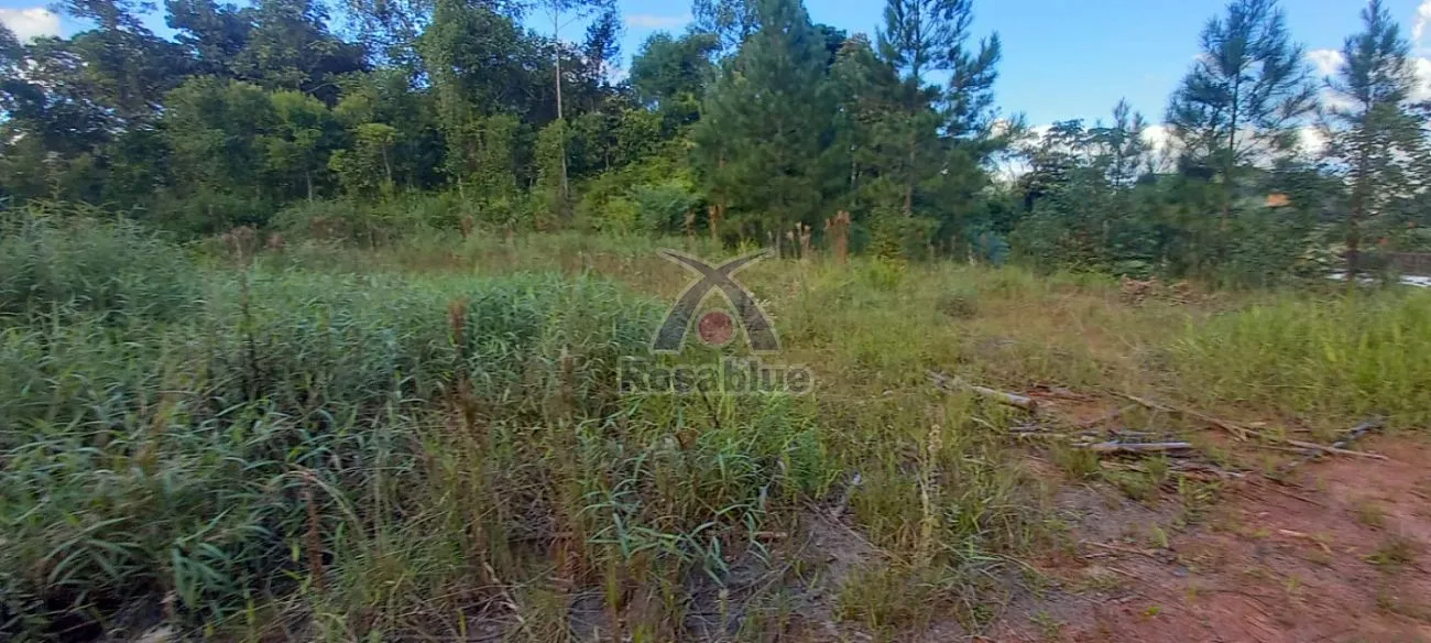 TERRENO - RODEIO — foto 3