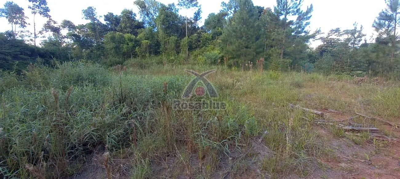 TERRENO - RODEIO — foto 4