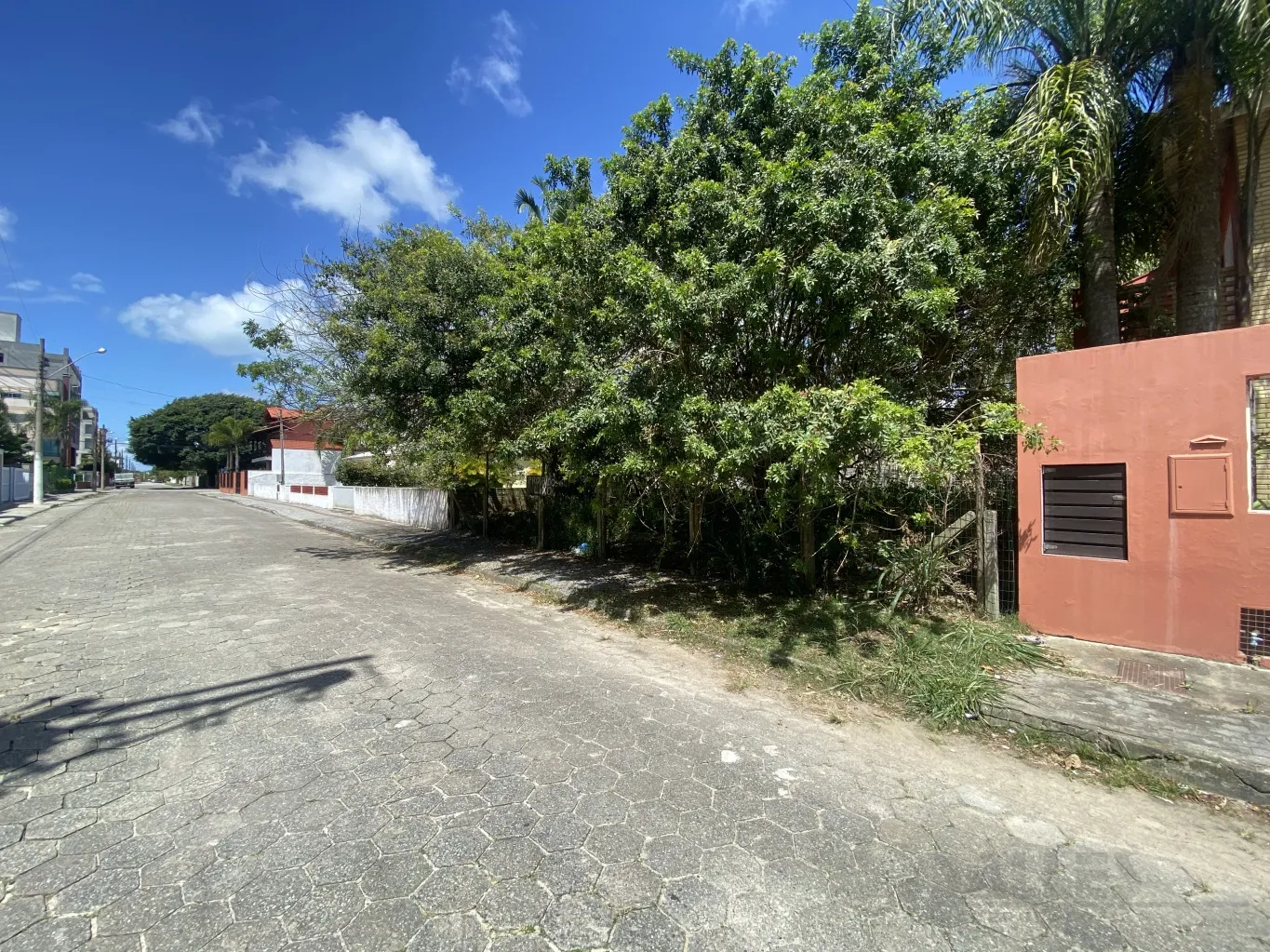 TERRENO - MARISCAL — foto 4