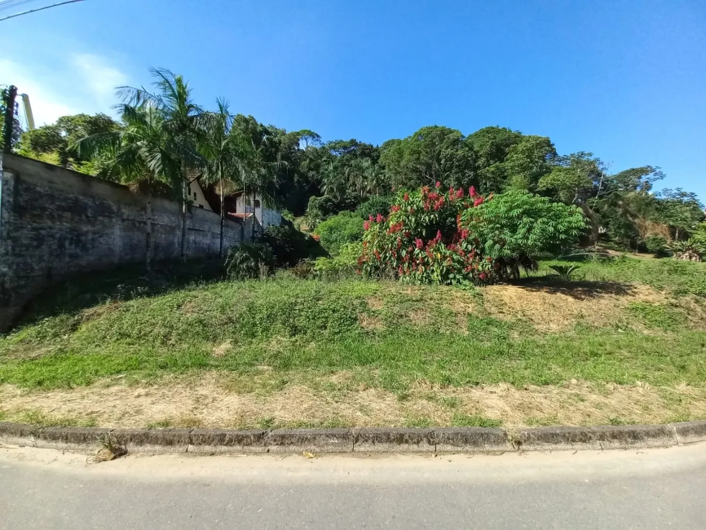 Terreno à venda no bairro Quintino em Timbó/SC - foto 1