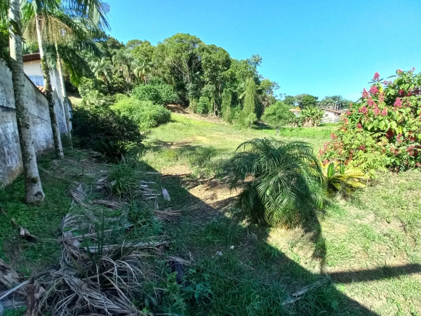Terreno à venda no bairro Quintino em Timbó/SC — foto 6