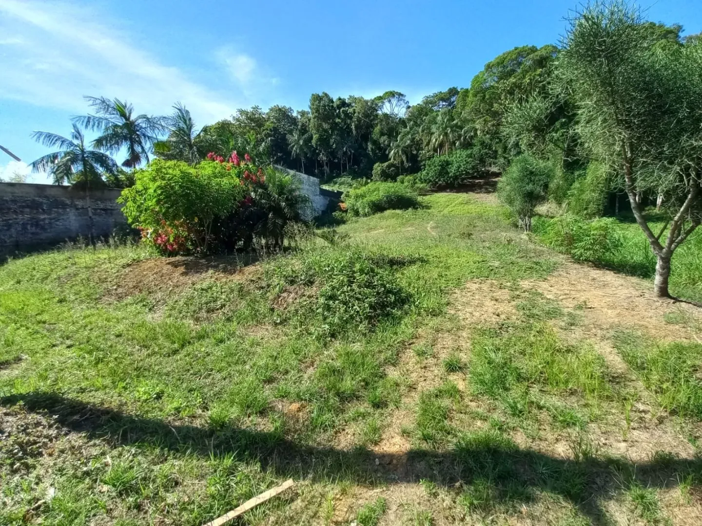 Terreno à venda no bairro Quintino em Timbó/SC — foto 7