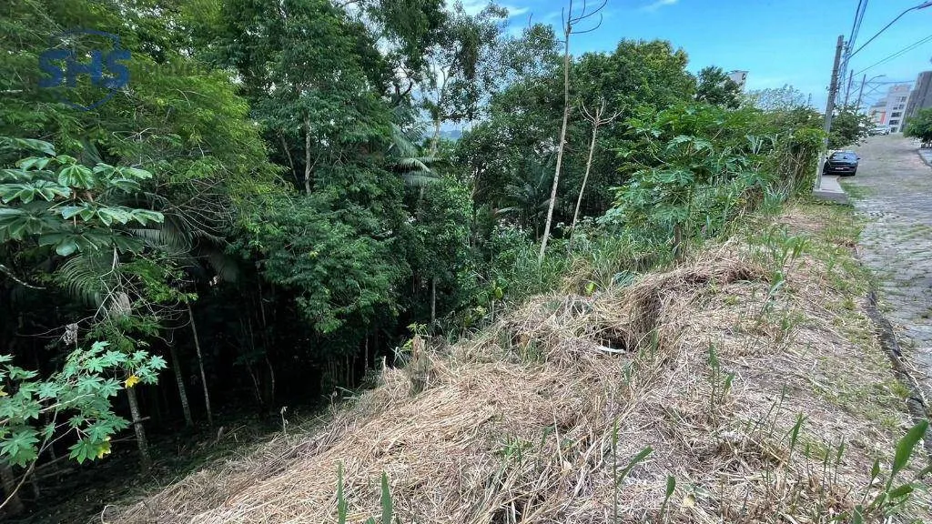 TERRENO NO JARDIM BLUMENAU - foto 1