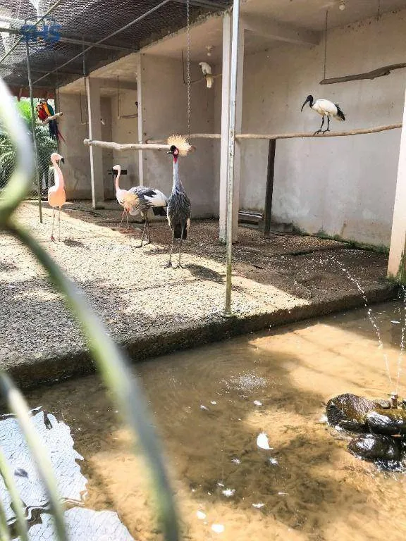 Sítio à venda, 121000 m por R$ 4.200.000,00 - Margem Esquerda - Gaspar/SC — foto 5