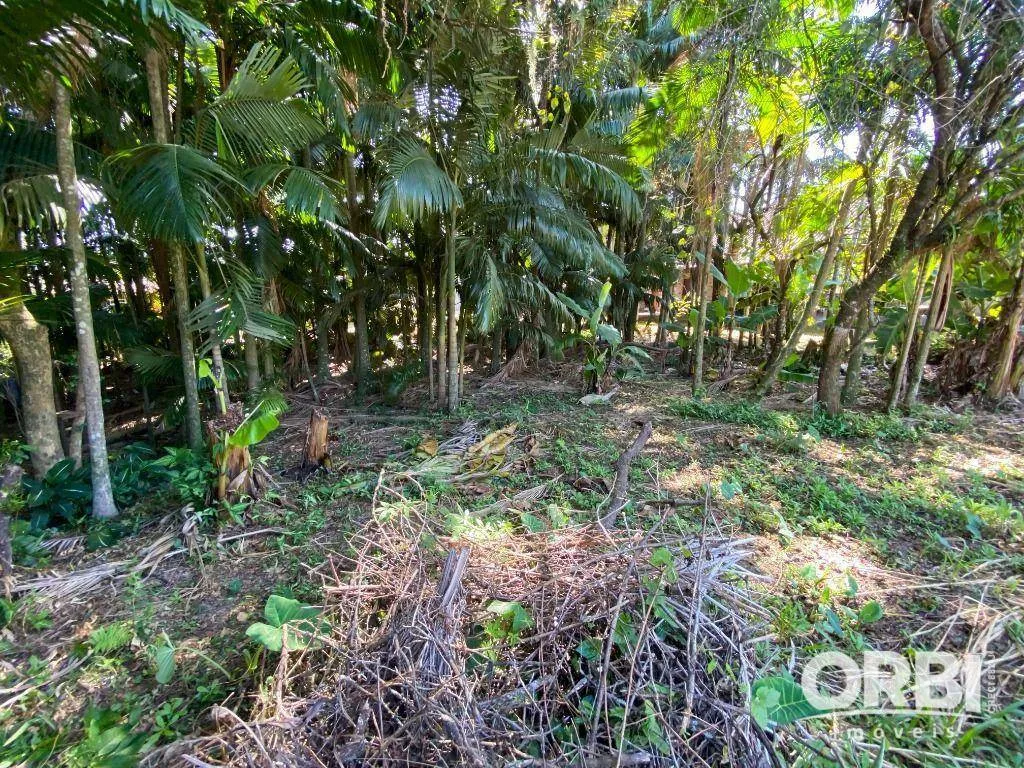 Terreno à venda, 937 m por R$ 450.000,00 - Margem Esquerda - Gaspar/SC — foto 7