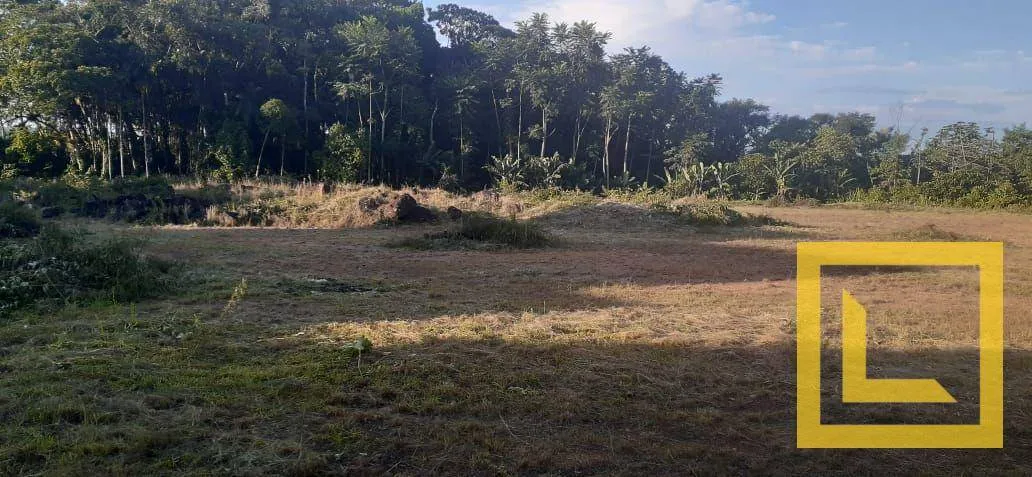 Terreno à venda, 12340 m por R$ 6.385.000,00 - Salto do Norte - Blumenau/SC - foto 1