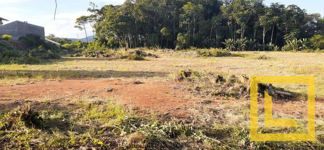 Terreno à venda, 12340 m por R$ 6.385.000,00 - Salto do Norte - Blumenau/SC — foto 2