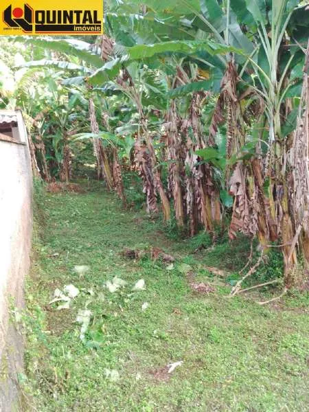 Terreno Blumenau SC brasil — foto 3