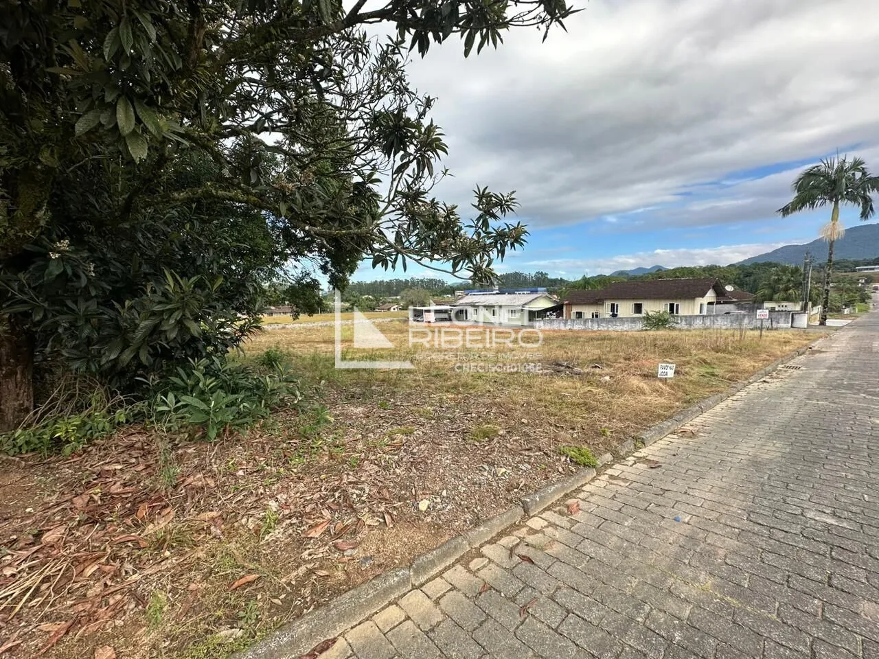 Terreno à venda no bairro Divinéia em Rio dos Cedros/SC — foto 5