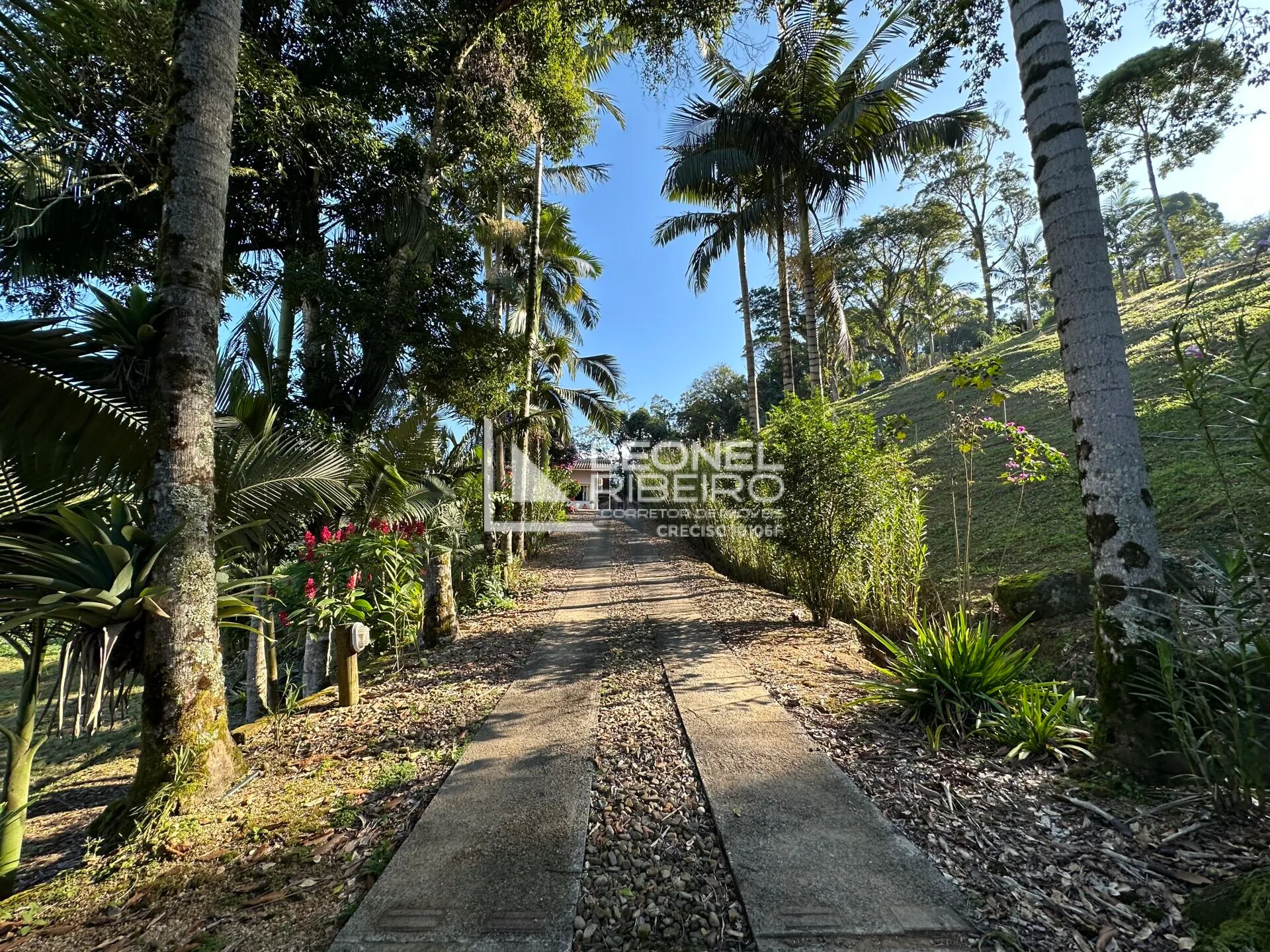 Sítio à venda no bairro São Pedro Velho em Rodeio/SC — foto 4