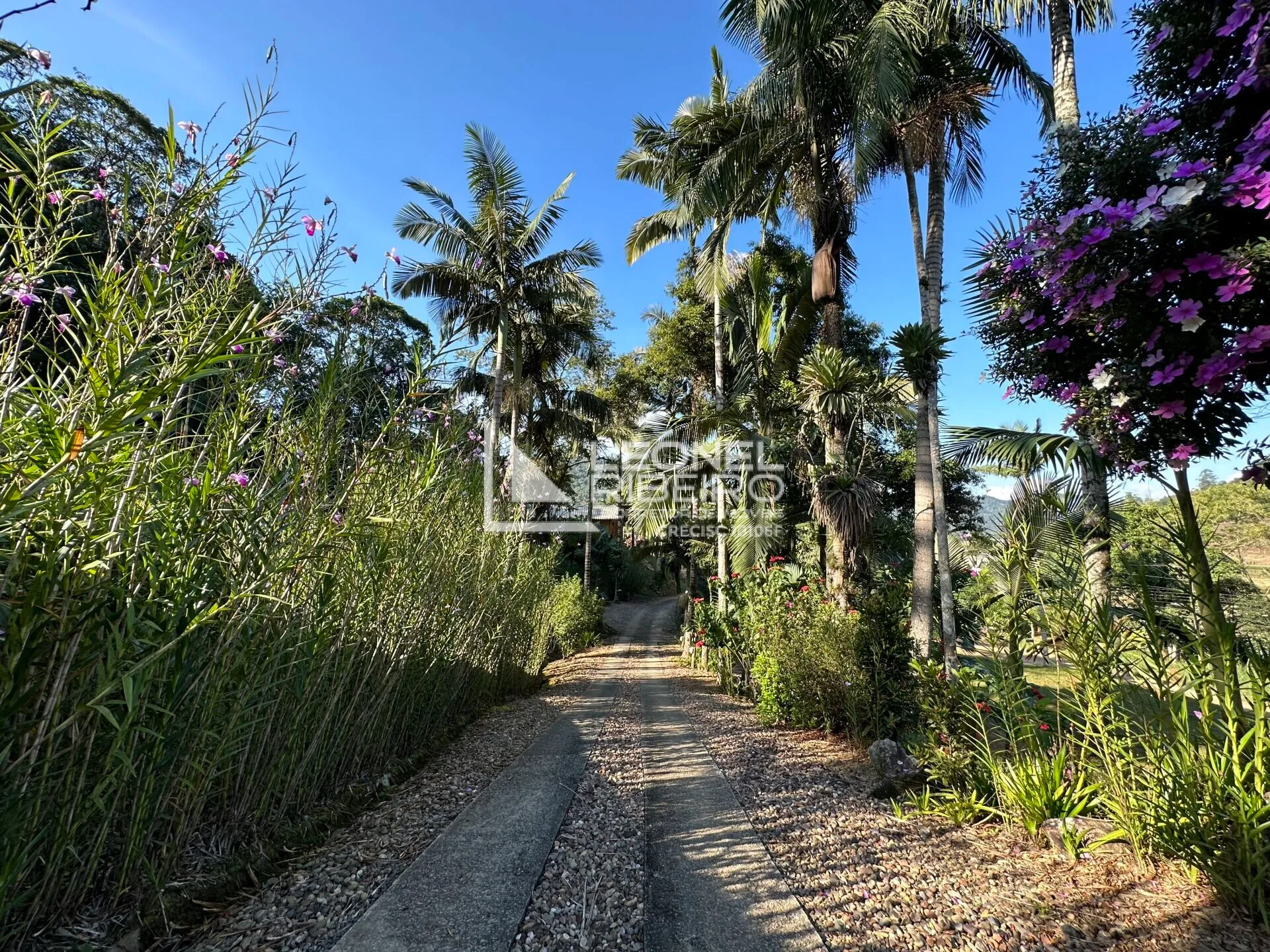 Sítio à venda no bairro São Pedro Velho em Rodeio/SC — foto 5