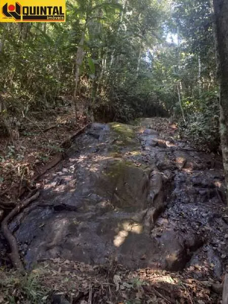 Sítio Gaspar SC brasil — foto 7