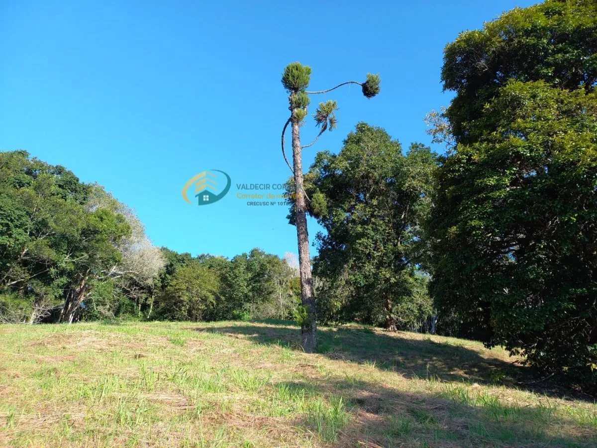 Terreno com 19mil m no bairro Velha, Blumenau/SC - foto 1