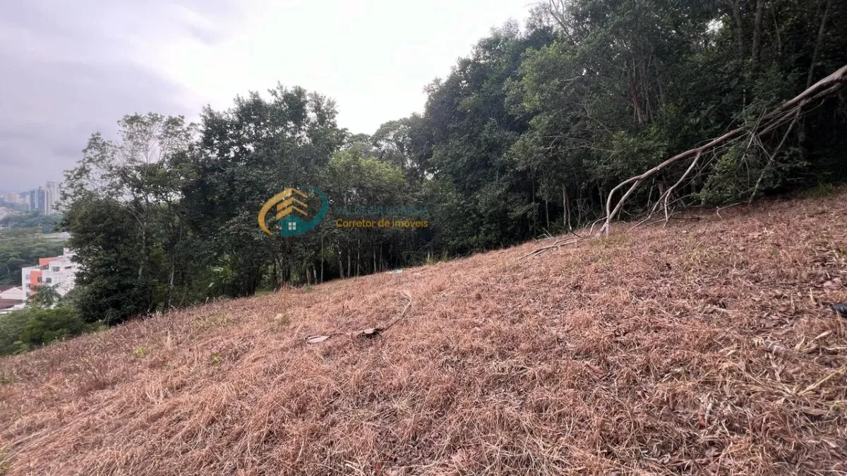 Terreno à venda, 19849m² no Velha, Blumenau — foto 7