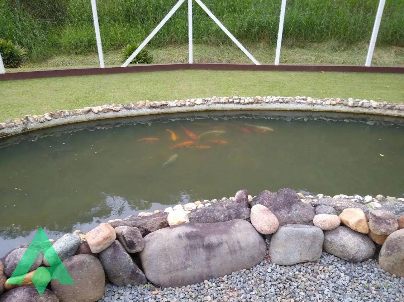 Sítio com 2 suítes à venda por R$ 1.450.000,00 - Bairro Belchior Alto - Gaspar/SC — foto 7