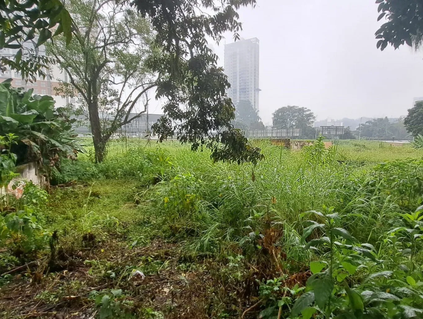 Terreno à venda, 450m² no Centro, Blumenau - foto 1